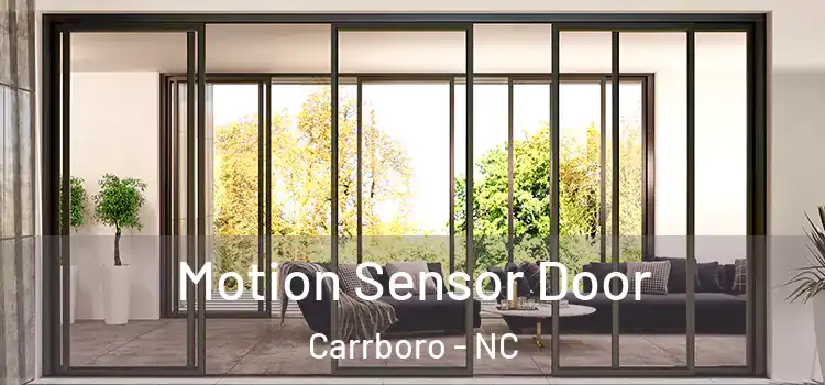 Motion Sensor Door Carrboro - NC