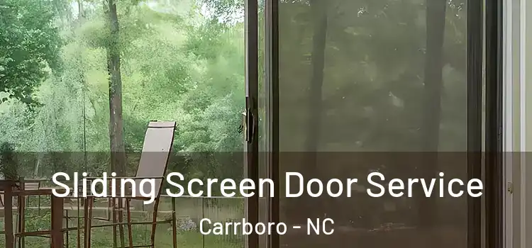 Sliding Screen Door Service Carrboro - NC